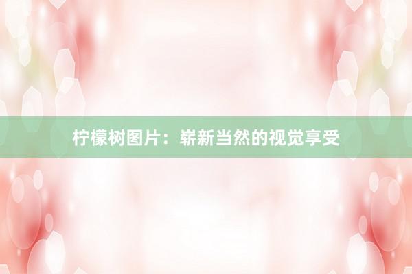 柠檬树图片：崭新当然的视觉享受