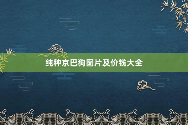 纯种京巴狗图片及价钱大全
