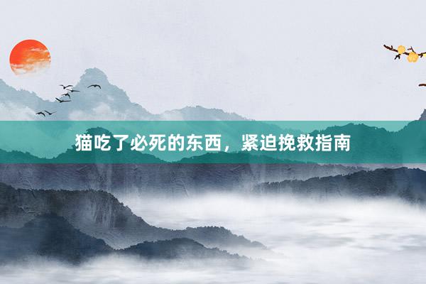 猫吃了必死的东西，紧迫挽救指南