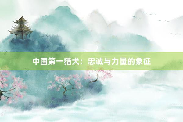 中国第一猎犬：忠诚与力量的象征