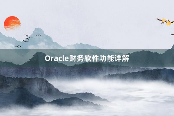 Oracle财务软件功能详解